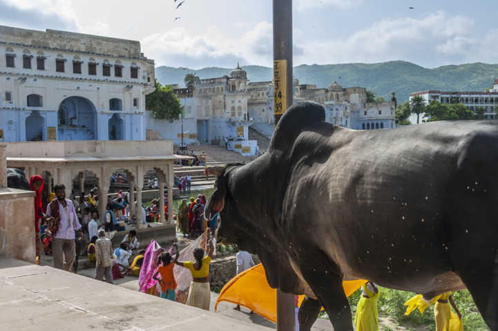06 - India - Pushkar